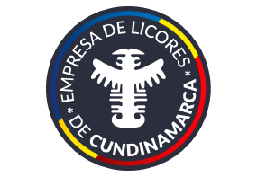 Asesoria Y Consultoria Bogota Experiencia 17