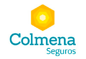 Asesoria Y Consultoria Bogota Experiencia 21